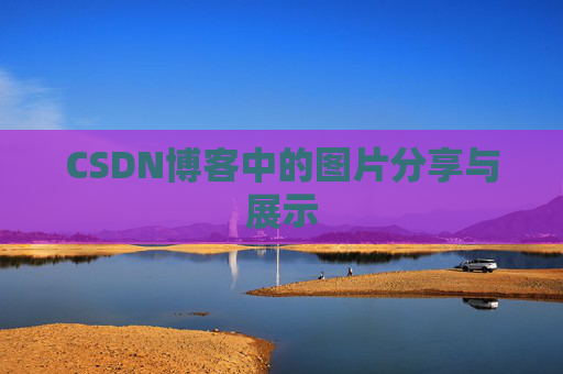 CSDN博客中的图片分享与展示